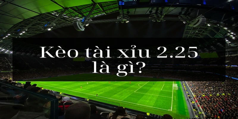 Kèo tài xỉu 2-2.5 là gì được nhiều người chơi lựa chọn